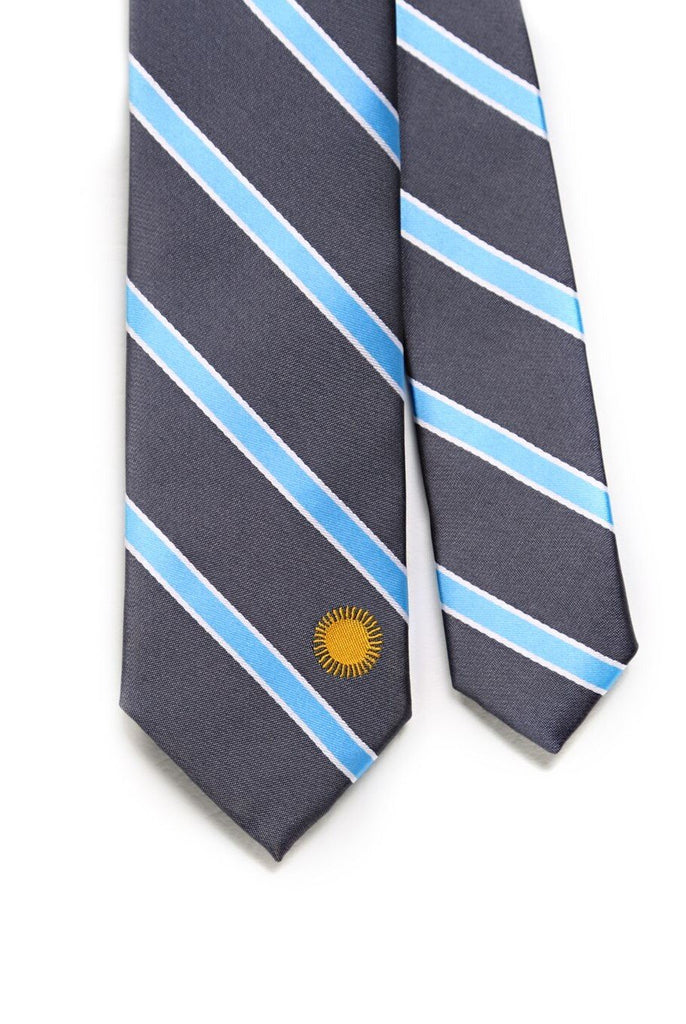 Argentina Flag Tie