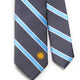 Argentina Flag Tie B&T