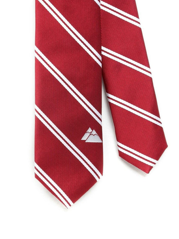 Switzerland Flag Tie
